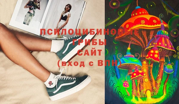 apvp Гусиноозёрск