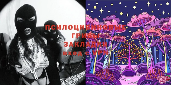 apvp Гусиноозёрск