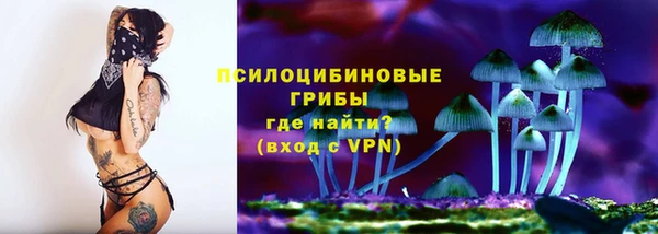 apvp Гусиноозёрск