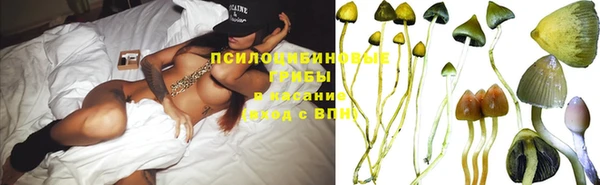 альфа пвп Гусь-Хрустальный