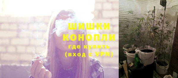 apvp Гусиноозёрск